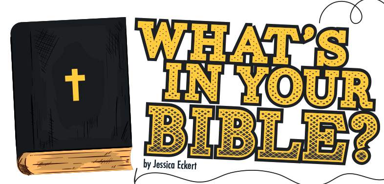 What's in Your Bible?